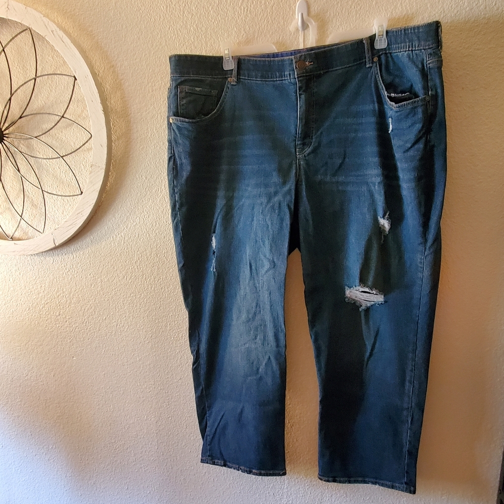 Terra and Sky 26w boyfriend jean
